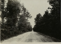 na017036--thumbnail.jpg