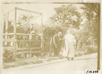 na008495--thumbnail.jpg