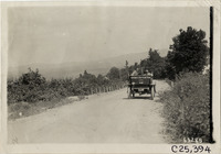na027372--thumbnail.jpg