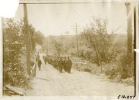 na008496--thumbnail.jpg