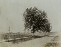 na017041--thumbnail.jpg