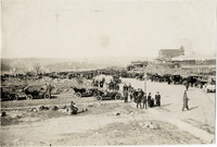 na019184--thumbnail.jpg