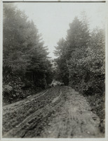 na022255--thumbnail.jpg