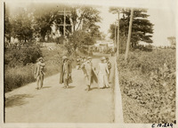 na008503--thumbnail.jpg