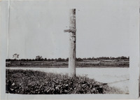 na017051--thumbnail.jpg