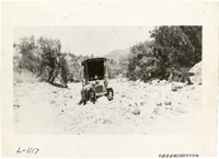 na009619--thumbnail.jpg