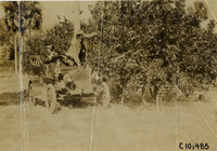 na009073--thumbnail.jpg
