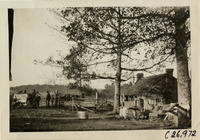 na029923--thumbnail.jpg