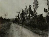 na017061--thumbnail.jpg