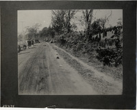na002999--thumbnail.jpg