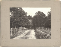 DPA0883--thumbnail.jpg
