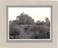 DPA0263--thumbnail.jpg