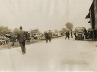 na010189--thumbnail.jpg