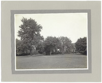 DPA0266--thumbnail.jpg