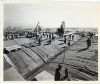 na051789--thumbnail.jpg
