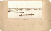 DPA3898--thumbnail.jpg