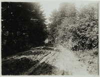 na022283--thumbnail.jpg