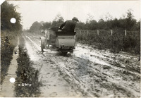 na051776--thumbnail.jpg