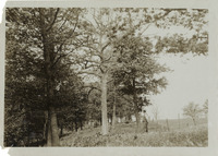 na005226--thumbnail.jpg