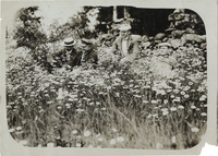 na005227--thumbnail.jpg
