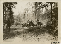 na025302--thumbnail.jpg