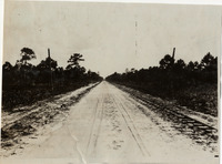 na017091--thumbnail.jpg