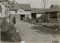 na015986--thumbnail.jpg