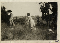 na031056--thumbnail.jpg
