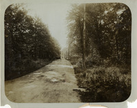 na017094--thumbnail.jpg