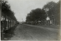 na015989--thumbnail.jpg