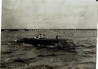 na041931--thumbnail.jpg