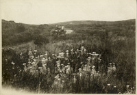 na017100--thumbnail.jpg