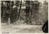 na025319--thumbnail.jpg