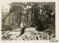 na025321--thumbnail.jpg