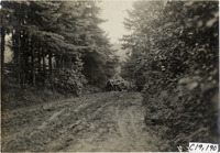 na021766--thumbnail.jpg