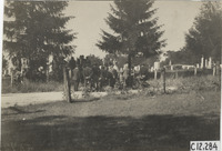 na011838--thumbnail.jpg