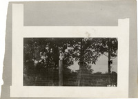 na005247--thumbnail.jpg