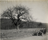 na019246--thumbnail.jpg