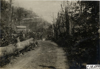 na021263--thumbnail.jpg