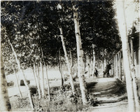 na022316--thumbnail.jpg