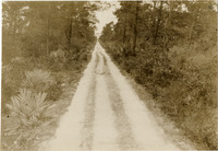 na031579--thumbnail.jpg