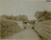 na016015--thumbnail.jpg