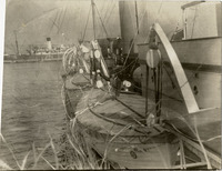 na002548--thumbnail.jpg