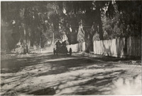na013322--thumbnail.jpg