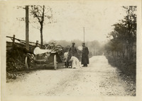 na026447--thumbnail.jpg