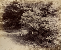 bh018189--thumbnail.jpg