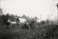 na009178--thumbnail.jpg