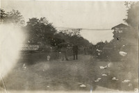 na012332--thumbnail.jpg