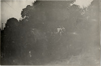 na012333--thumbnail.jpg