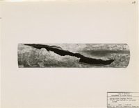 bh016102--thumbnail.jpg